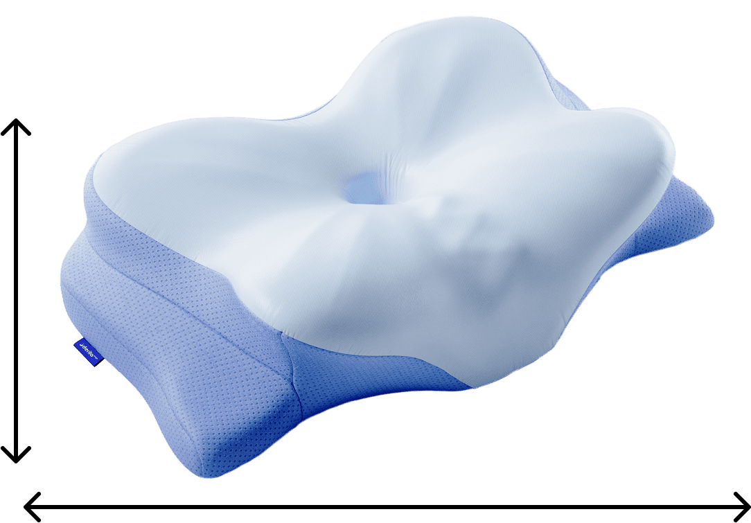 Derila Ergo dimensions: 54 cm wide, 36 cm high